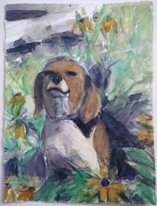Beagle
