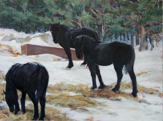 Black Horses in Snow